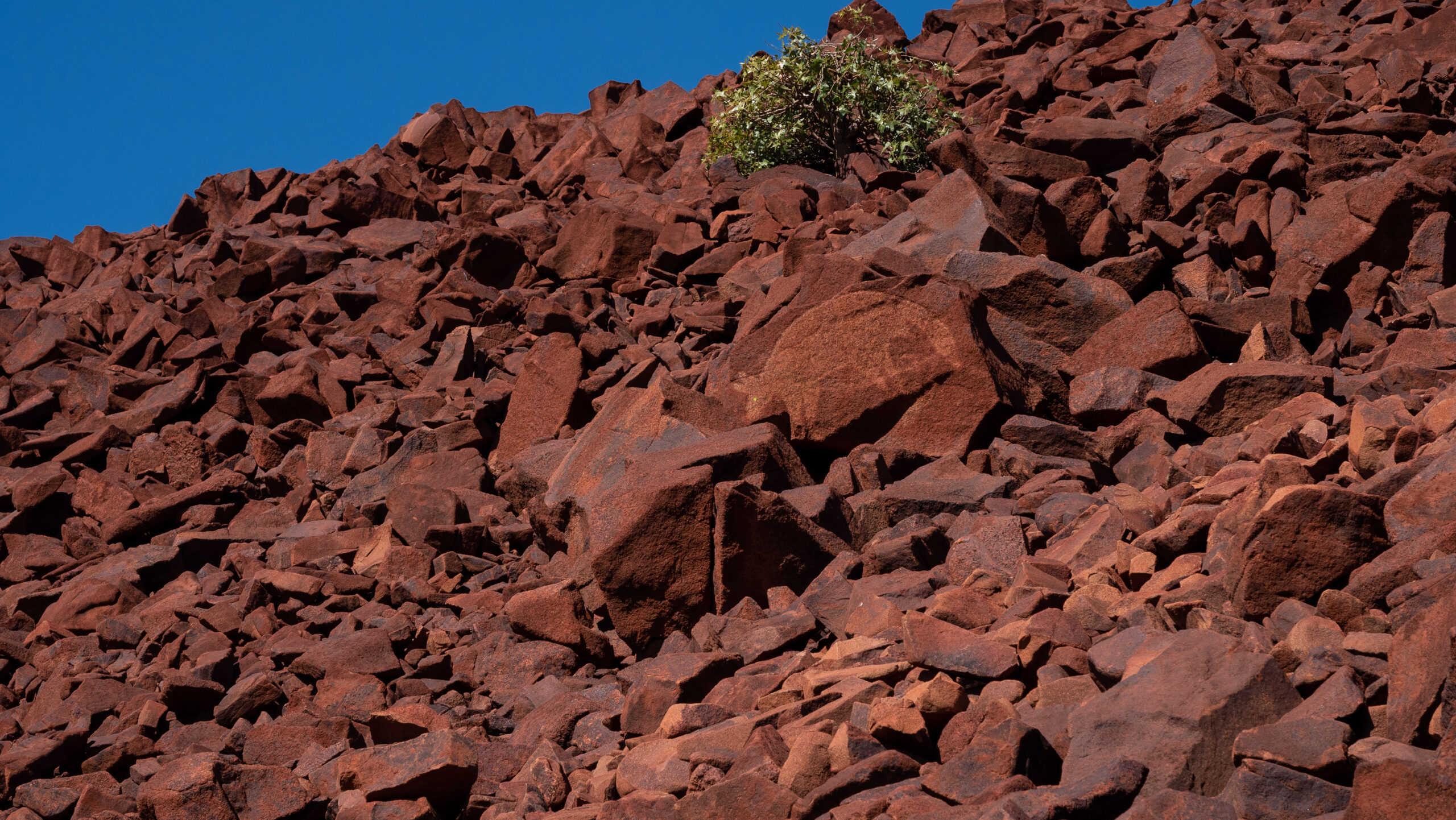 Murujuga New Hope Corp's New Acland coal mine, February 2016