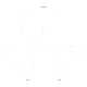 ANZ icon