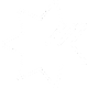 NAB trace icon